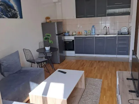 Izdavanje, jednosoban stan, 33m², Zabjelo, Podgorica - image 9