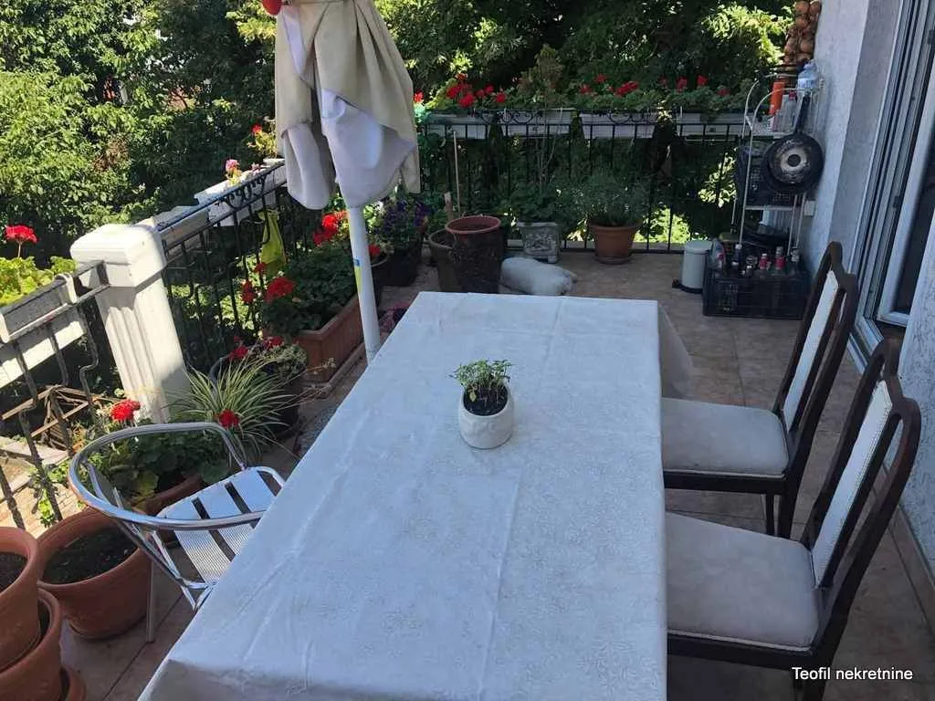 Izdavanje, dvosoban stan, 55m², Profesorska Kolonija, Palilula Sve Podlokacije