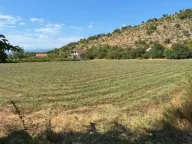 Prodaja, plac, 9980m², Komani, Podgorica - image 1