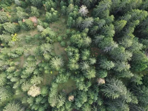 Sale, land lot, 46000m², Pljevlja, Crna Gora - image 2