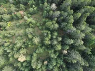 Sale, land lot, 46000m², Pljevlja, Crna Gora - image 2