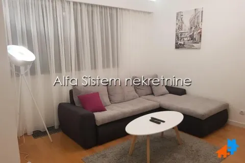 Rent, two bedroom apartment, 50m², Novi Beograd Blok 65, Novi Beograd Sve Podlokacije - image 2