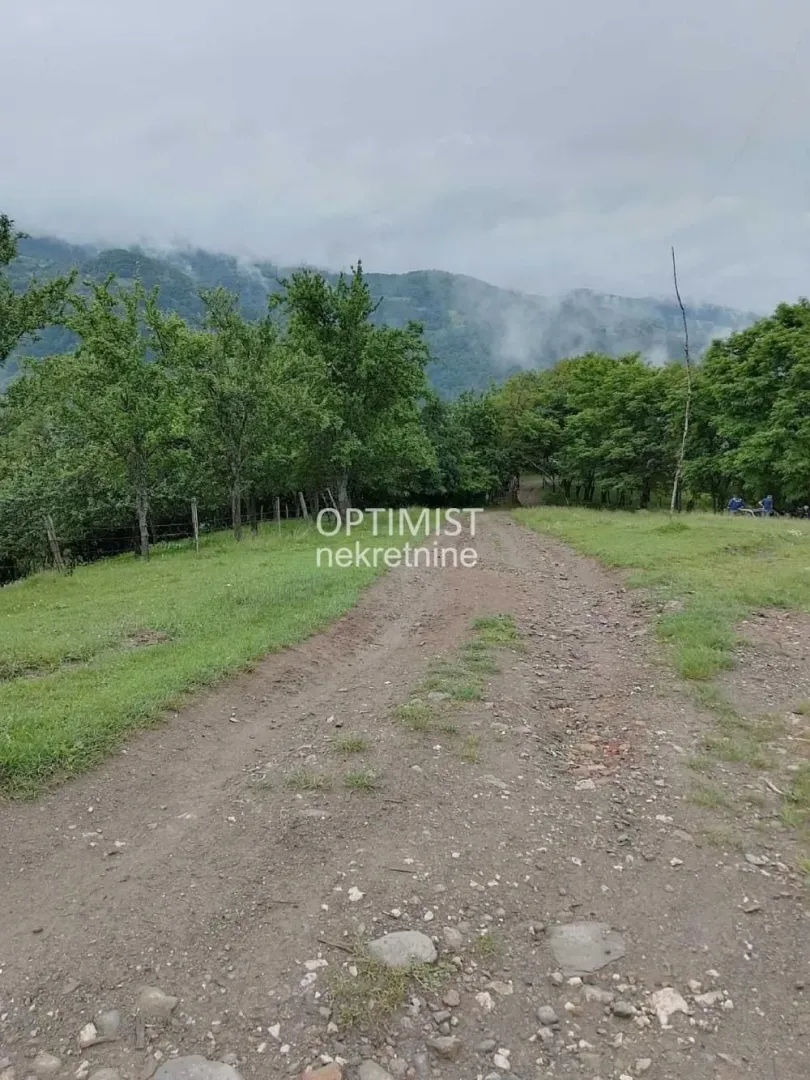 Zemljani put koji vodi kroz zeleni predeo sa drvećem i pogledom na planine.