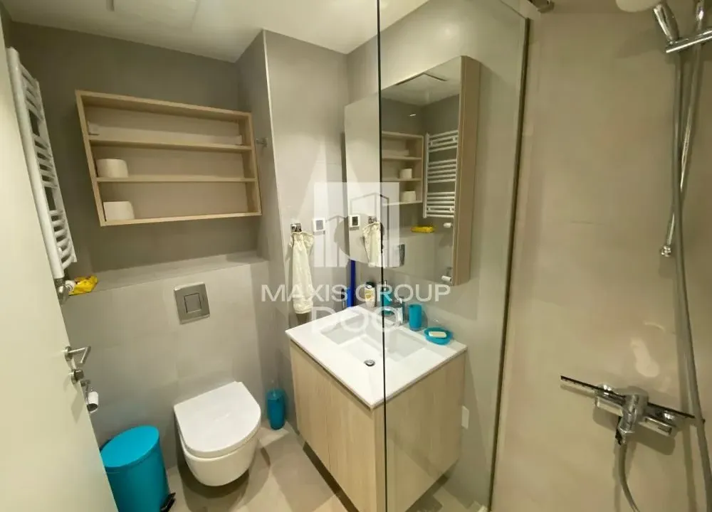 Izdavanje, jednosoban stan, 30m², Savski Venac, Beograd