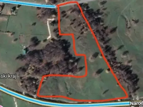 Sale, land lot, 7000m², Žabljak II, Žabljak - image 5