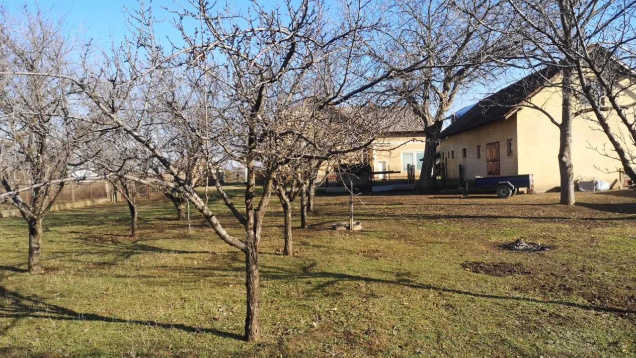 Sale, house, 300m², Centar, Smederevo