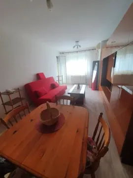 Izdavanje, jednosoban stan, 50m², Bulevar Evrope, Novi Sad Sve Podlokacije - image 5