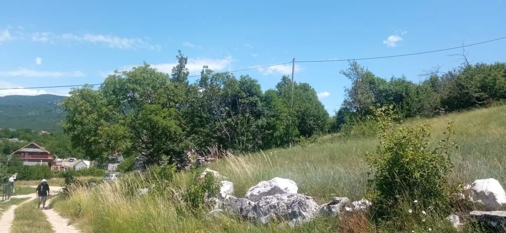 Prodaja, plac, 1500m², Ozrinići, Nikšić