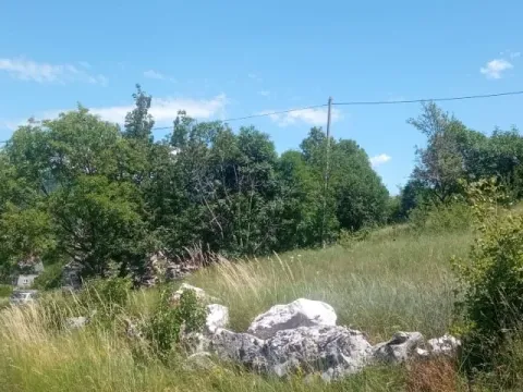 Prodaja, plac, 1500m², Ozrinići, Nikšić - image 18