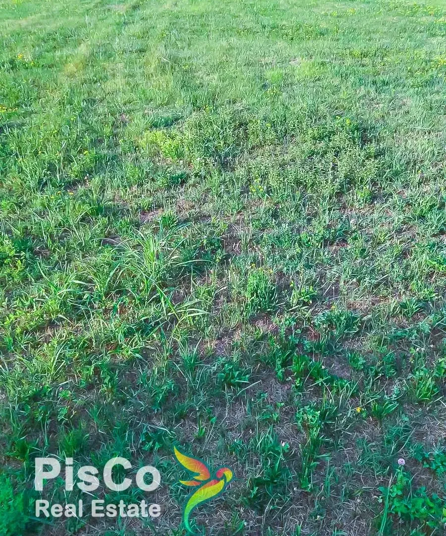 Prodaja, plac, Danilovgrad, Crna Gora