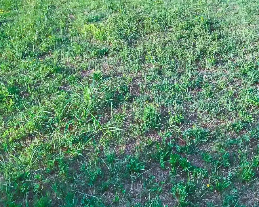 Sale, land lot, Danilovgrad, Crna Gora