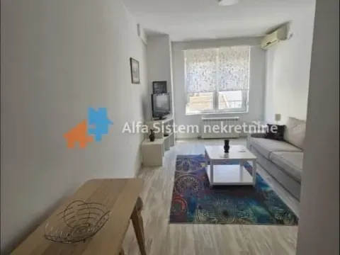 Izdavanje, dvosoban stan, 48m², Vračar Hram, Vračar Sve Podlokacije - image 3