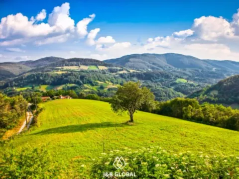 Prodaja, kuća, 224m², Divčibare, Valjevo - image 7