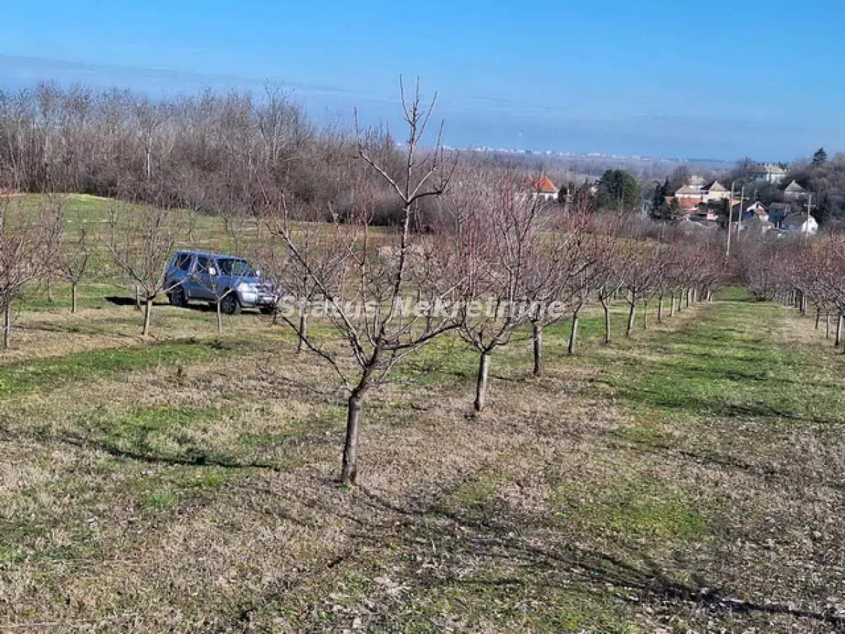 Prodaja, plac, 7500m², Beočin, Srbija