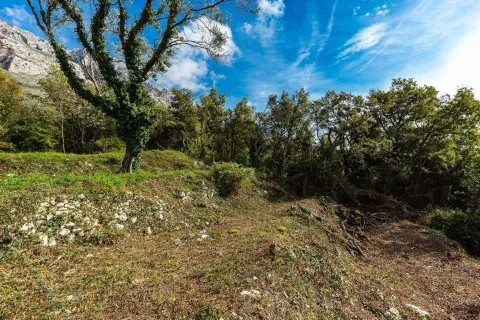 Pogled na zeleno dvorište sa drvećem i rastinjem. - image 3