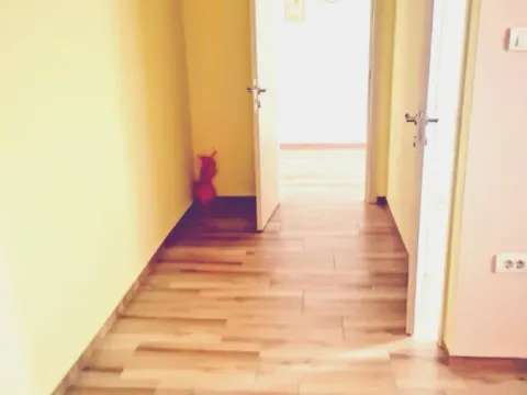 Izdavanje, dvosoban stan, 56m², Centar, Novi Sad - image 11