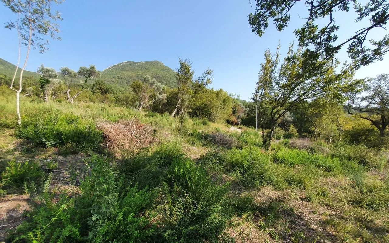 Prodaja, plac, 4200m², Bjeliši, Bar