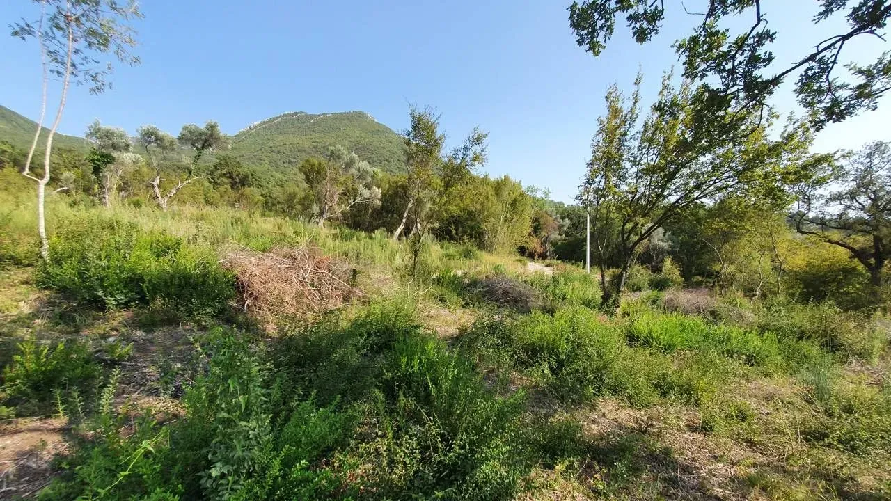 Sale, land lot, 4200m², Bjeliši, Bar