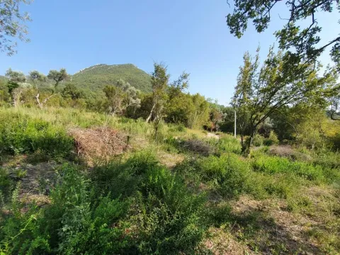 Zemljište in Bjeliši