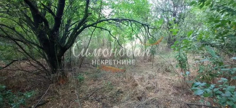 Sale, land lot, 850m², Surčin, Beograd