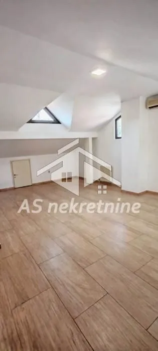 Izdavanje, kuća, 500m², Profesorska Kolonija, Palilula Sve Podlokacije