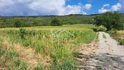 Prodaja, plac, 800m², Višnjica, Palilula Sve Podlokacije - image 2