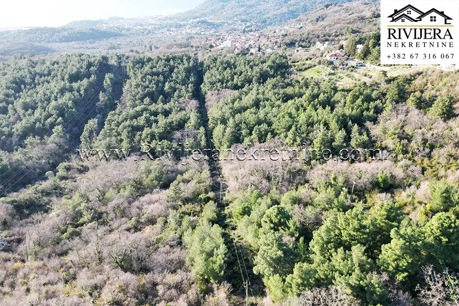 Prodaja, plac, 58950m², Kavač, Kotor