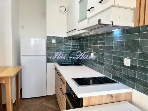 Izdavanje, jednosoban stan, 29m², Tašmajdan, Palilula Sve Podlokacije - image 5