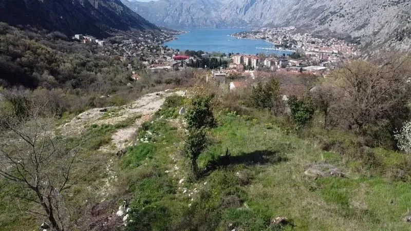 Prodaja, plac, 800m², Tivat, Crna Gora