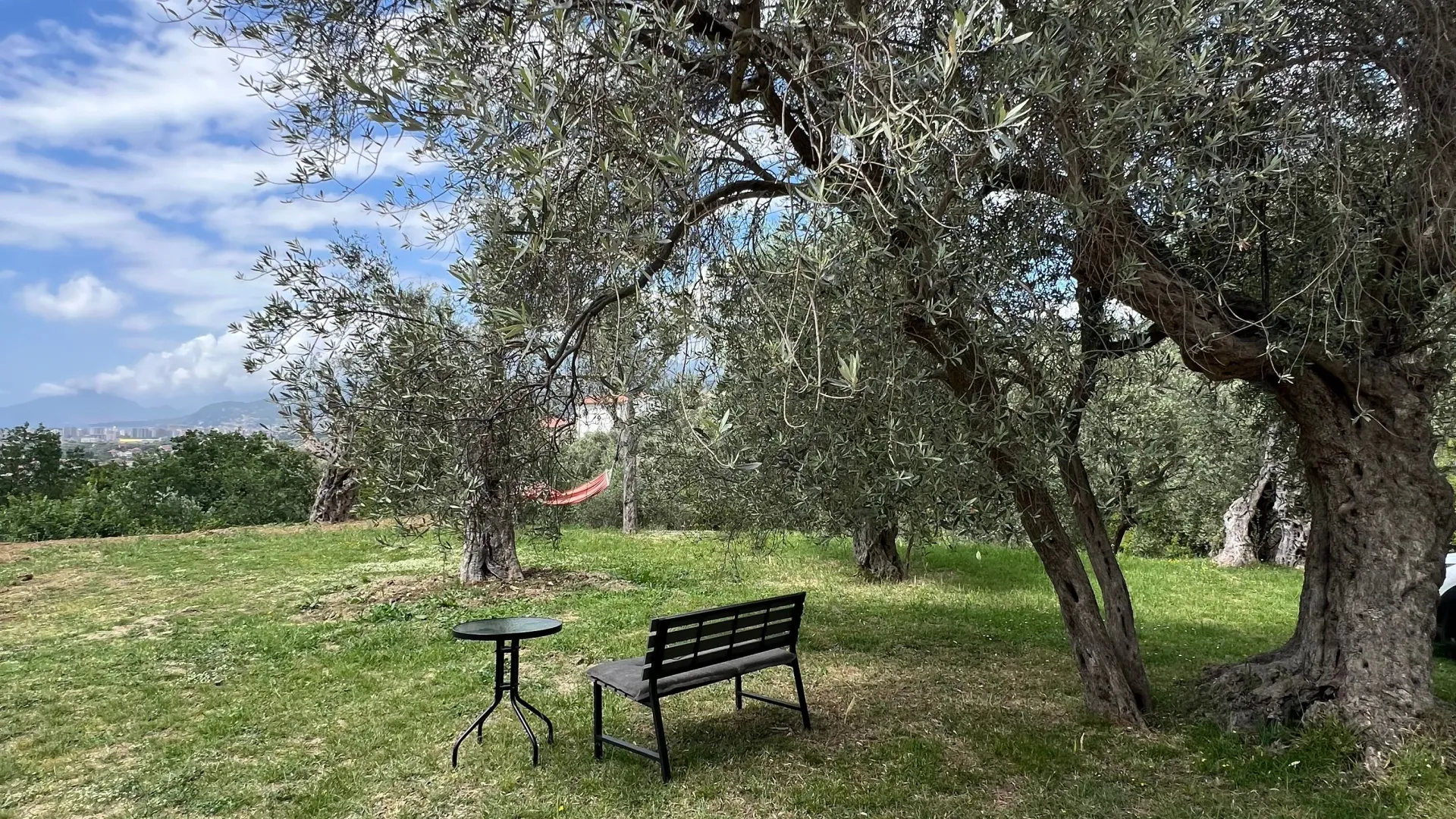 Izdavanje, jednosoban stan, 30m², Stari Bar, Bar