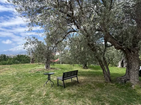 Izdavanje, jednosoban stan, 30m², Stari Bar, Bar - image 11
