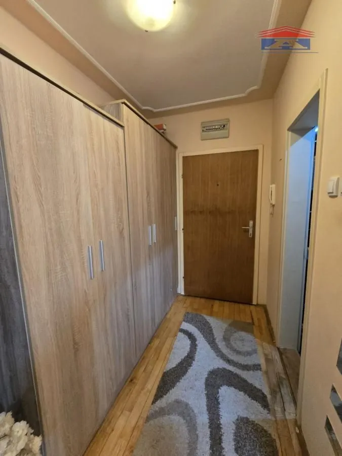 Izdavanje, garsonjera, 20m², Nova Detelinara, Novi Sad Sve Podlokacije