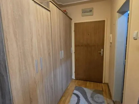 Izdavanje, garsonjera, 20m², Nova Detelinara, Novi Sad Sve Podlokacije - image 6