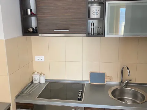 Rent, one bedroom apartment, 52m², Preko Morače, Podgorica - image 11