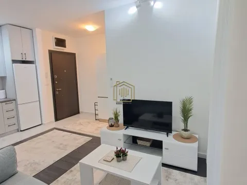 Rent, apartment, 26m², Zabjelo, Podgorica - image 9