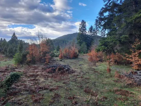 Sale, land lot, 10500m², Stublo, Čajetina - image 6