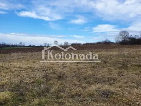Prodaja, plac, 8000m², Dučina, Sopot - image 4