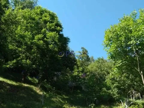 Sale, house, 120m², Mojkovac, Crna Gora - image 4