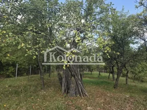 Prodaja, kuća, 231m², Parcani, Sopot - image 18