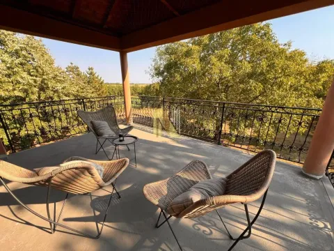 Rent, house, 356m², Čenej, Novi Sad Sve Podlokacije - image 24