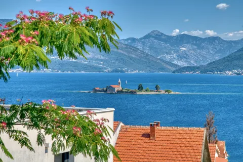Pogled na more i ostrvo sa cvijećem u prvom planu. - image 18