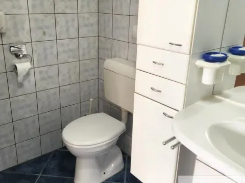 Rent, house, 120m², Sremska Kamenica, Petrovaradin - image 27