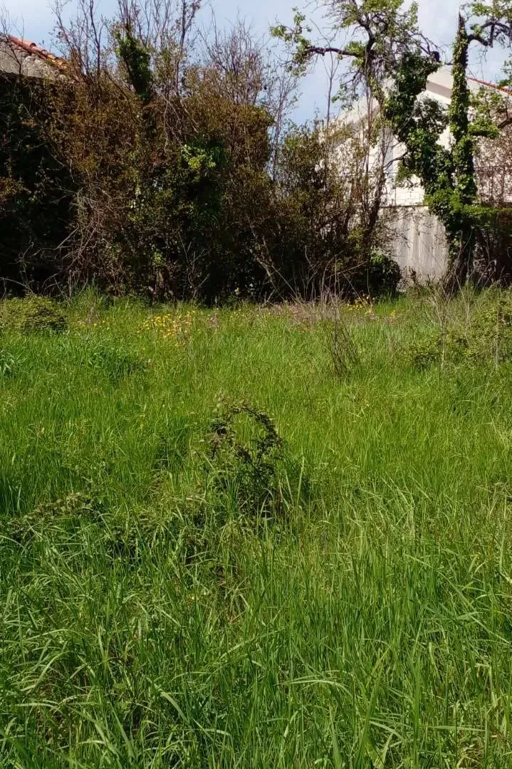 Sale, land lot, 1550m², Zaljevo, Bar