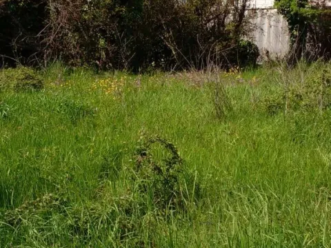 Prodaja, plac, 1550m², Zaljevo, Bar - image 6