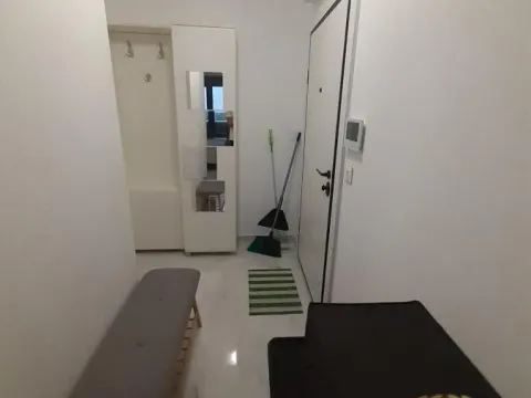 Izdavanje, dvosoban stan, 55m², Višnjica, Palilula Sve Podlokacije - image 8