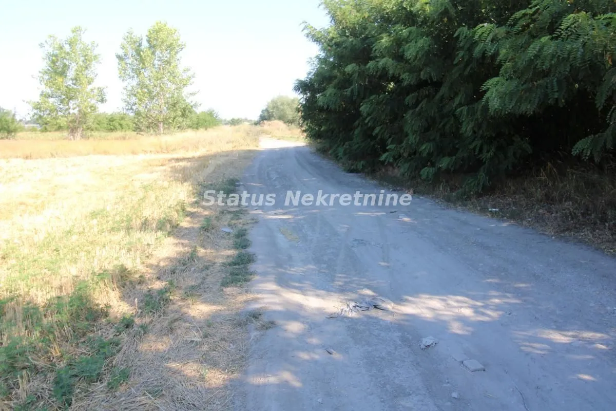 Sale, land lot, 6396m², Šangaj, Novi Sad Sve Podlokacije