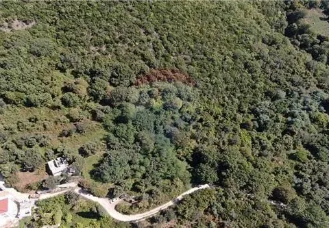 Prodaja, plac, 14000m², Herceg Novi, Crna Gora - image 18