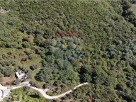 Prodaja, plac, 14000m², Herceg Novi, Crna Gora - image 18