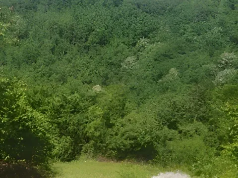 Sale, land lot, 108900m², Sela, Kolašin - image 5