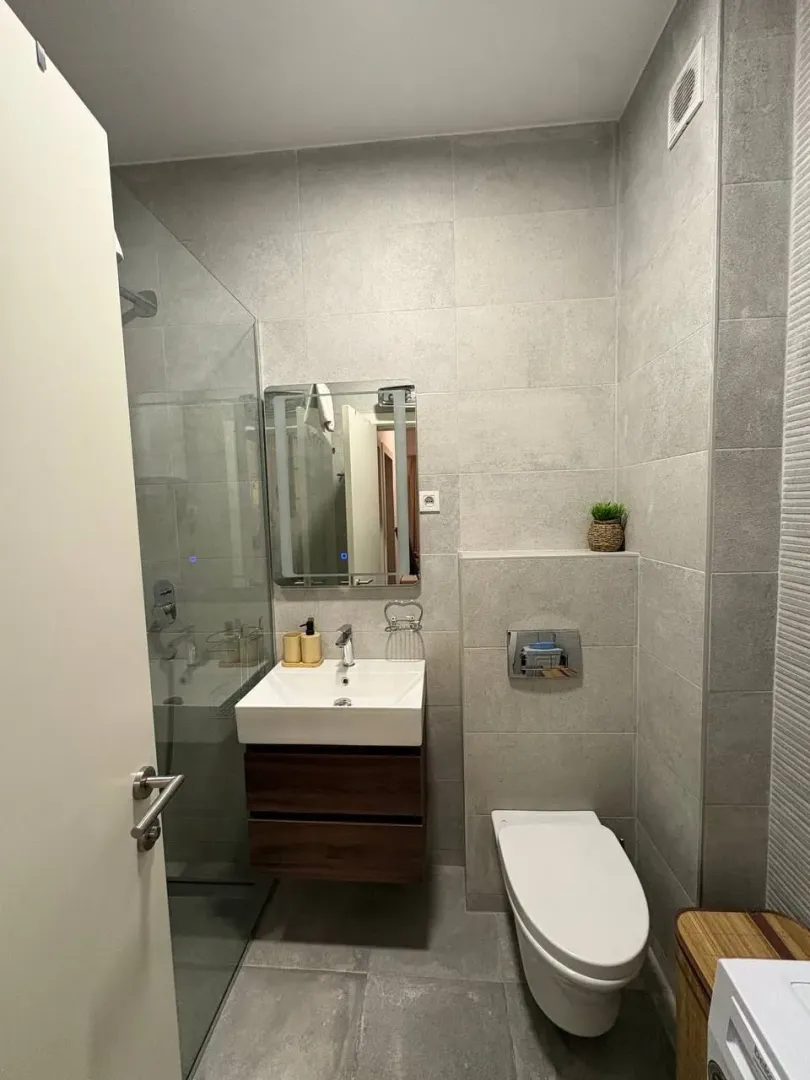 Modernly equipped bathroom with a walk-in shower, washbasin, and toilet.